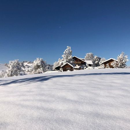 Ferienwohnung Aigisblick Mit Pool Und Sauna, Direkt Am Skihang Миссен-Вильхамс Экстерьер фото